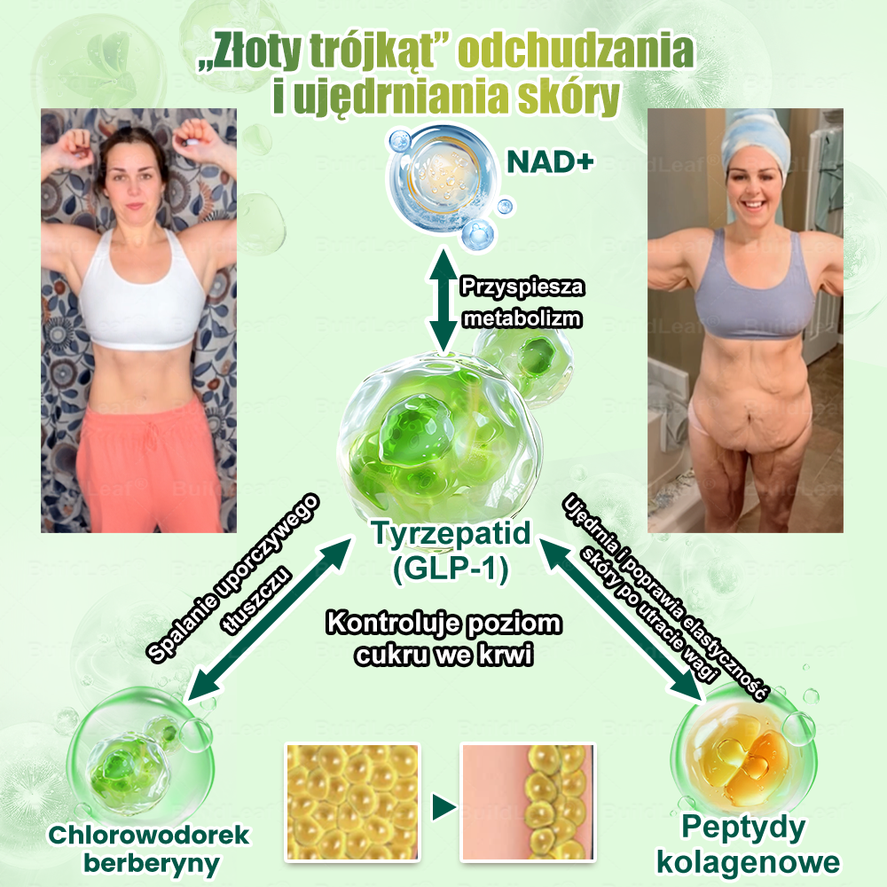 Gratulacje! Odblokowałeś ekskluzywną ofertę BuildLeaf®! Jako podziękowanie za Twoje zamówienie, oferujemy dodatkowe 30% zniżki dzisiaj! Kliknij poniżej, aby skorzystać z tej specjalnej oferty, oferta wygasa!